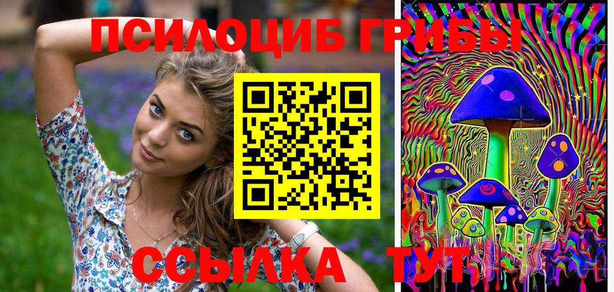 Галлюциногенные грибы Cubensis  Вход с VPN  Звенигород  Псилоцибиновые грибы MAGIC MUSHROOMS 