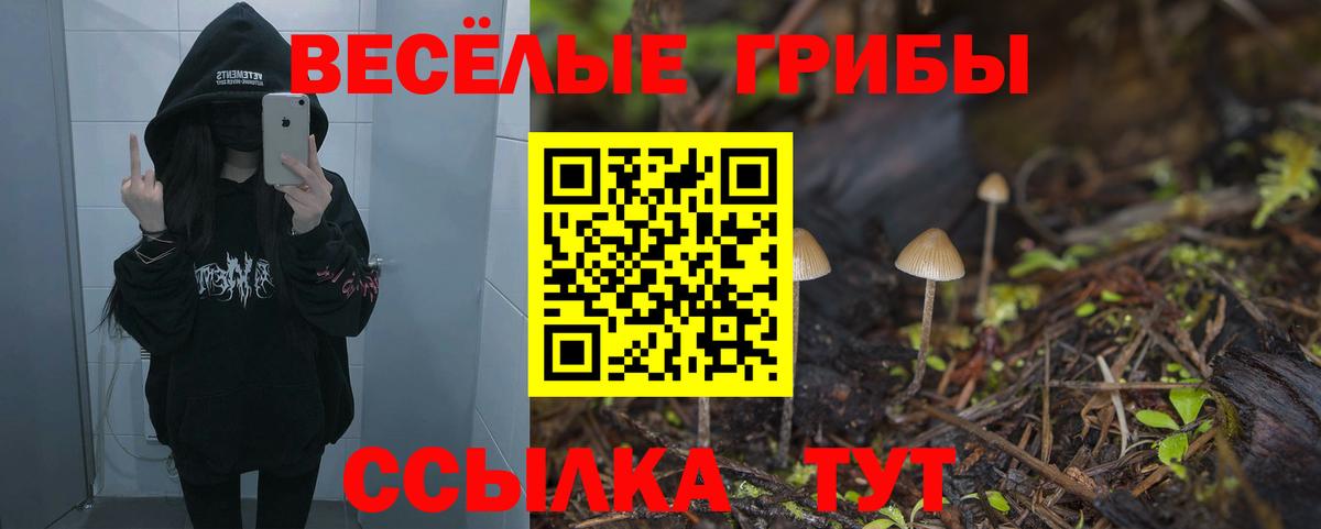 Галлюциногенные грибы ЛСД Звенигород